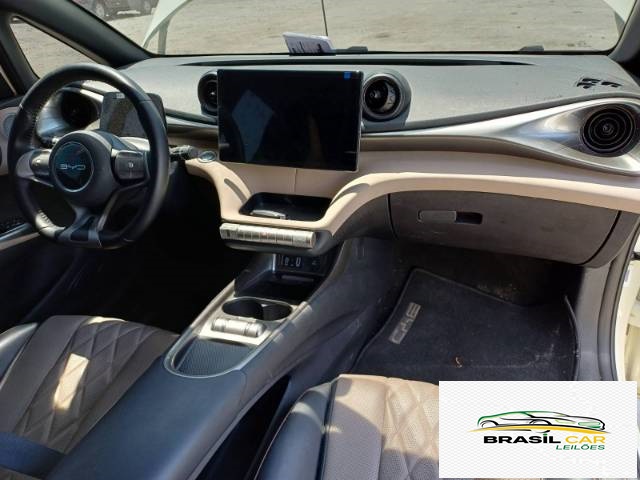 DOLPHIN EV GS 70 KW - Foto 6